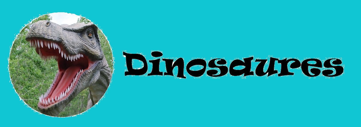 Anniversaire dinosaures