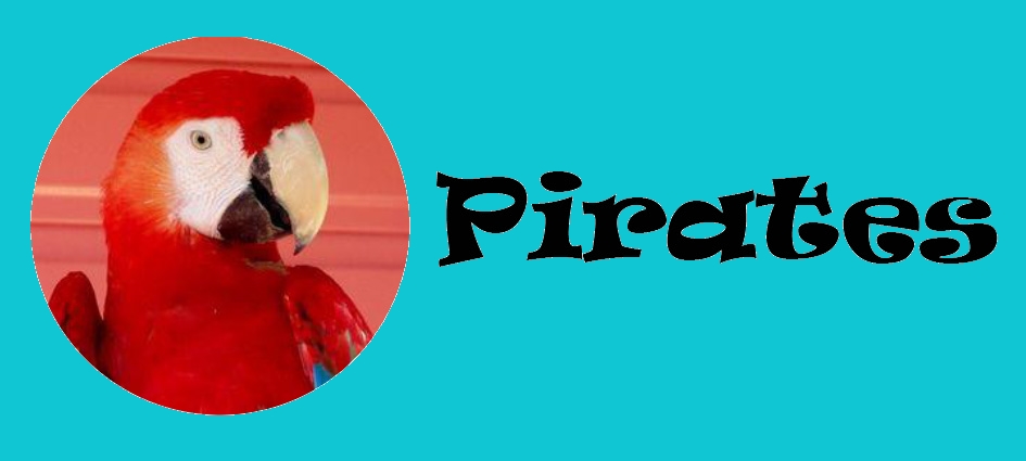 Anniversaire pirates