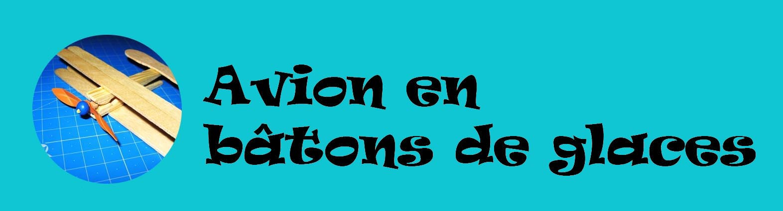 Avionbatonsdeglaces