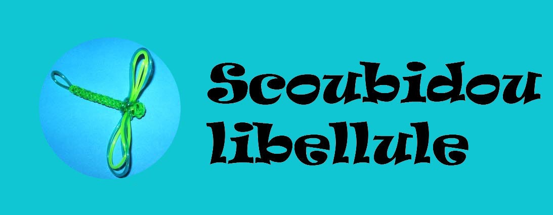 scoubidoulibellule