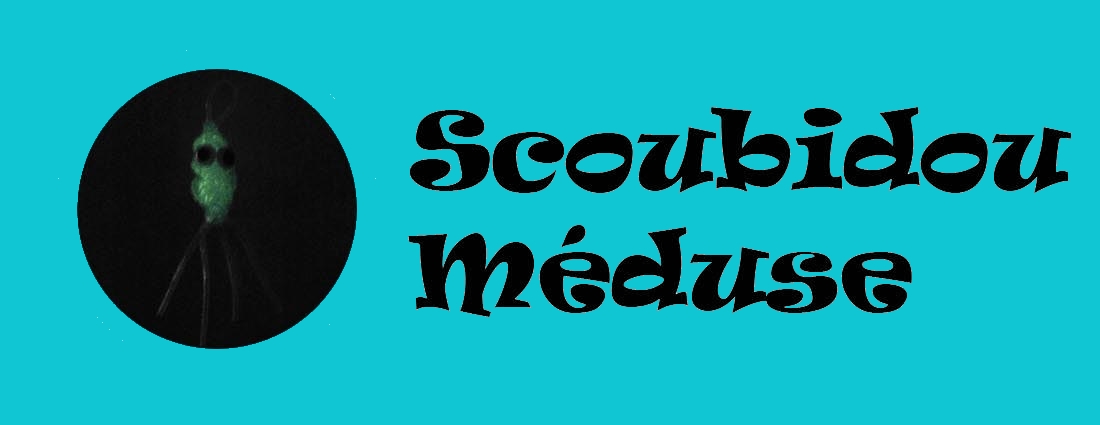 scoubidoumeduse
