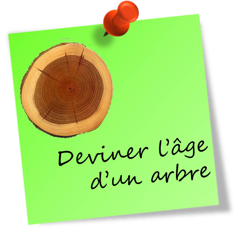 agedunarbre