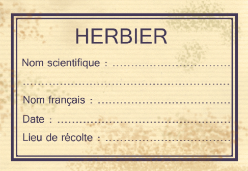 étiquette herbier